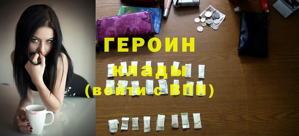 ГАЛЛЮЦИНОГЕННЫЕ ГРИБЫ Дмитриев