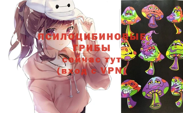 дмт Армянск