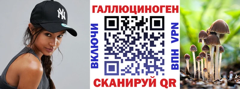 как найти закладки  кракен   Галлюциногенные грибы Cubensis  Лукоянов 